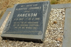 Hanekom, Albertus Johannes