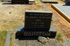 Hanekom, Awie