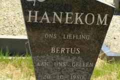 Hanekom, Bertus