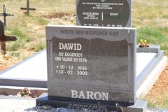 Baron, Dawid