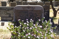 Foden, Thomas William