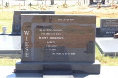 Wiese, Jasper Johannes