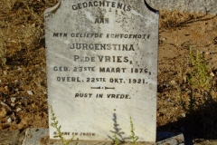 De Vries, Jurgenstina P. De Vriees