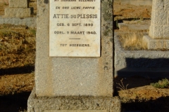 Du Plessis, Attie
