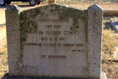 Du Plessis, M. F. ( Tinie)