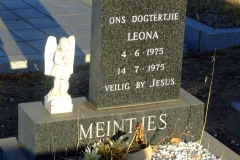 Meintjes, Leona