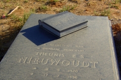 Nieuwoudt, Theunis E S