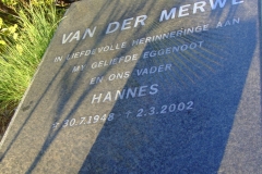 van der Merwe, Hannes