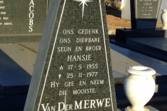 Van Der Merwe, Hansie