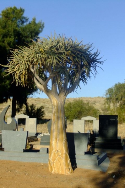 Keimoes Cemetery 5