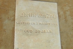 Van Zyl, Nettie