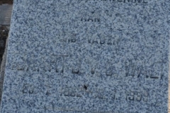 Van der Walt, Tjaart