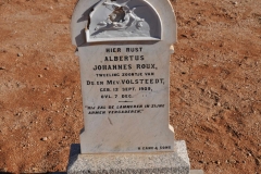 Volsteedt, Albertus Johannes Roux tweeling van Ds Volsteedt born 12 September 1909