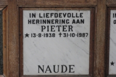 Naude, Pieter