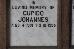 Cupido, Johannes