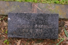 Aarons, Jacobus