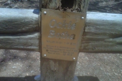 Botha, Ockie