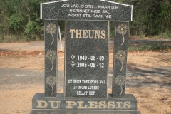 Du Plessis, Theuns