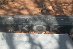Kok