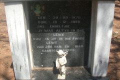 Venter, Kotie