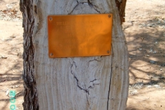 Botha, Willem Johannes