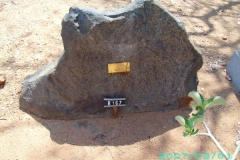 Schalkwyk, A P