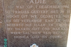 Unknown, Adie