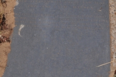 Wilson, Miss Catherine