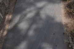 Shearer, Robert Alexander and Robert Shearer and Catherine Shearer