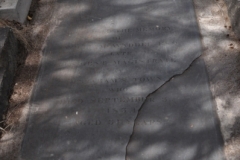 Waddel, William Esq.