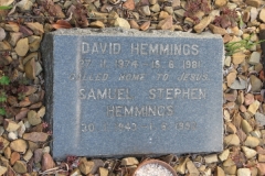 Hemmings, David + Hemmings, Samuel Stephen