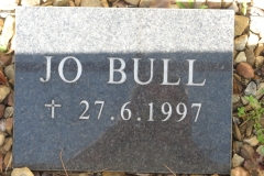 Bull, Jo