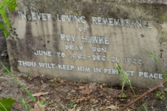 Hawke, Roy
