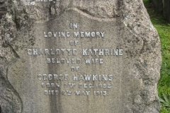 Hawkins, George