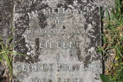 Hawley, Infant son