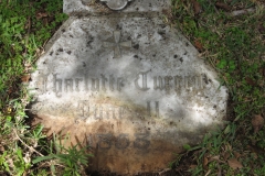 Currey, Charlotte