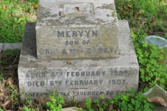 Carey, Mervyn