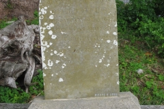 Hastings, Warren