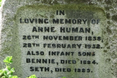 Human, Anne
