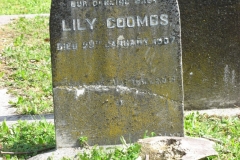 Coombs, Lily