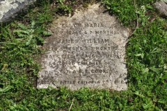 Cook, Ellen Maria & James William