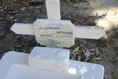 Wynand, Allicenne