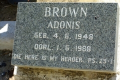Brown, Adonis