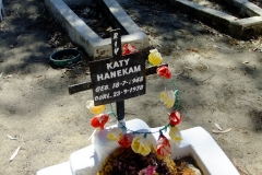 Hanekam, Katy