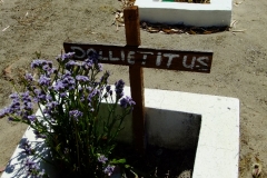Titus, Dollie