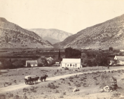 prince Alfred town South Africa